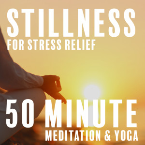 Anandra的专辑Stillness for Stress Relief (50 Minute Meditation & Yoga)