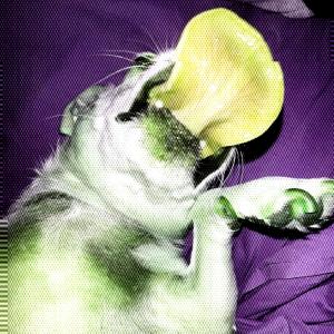 Wynn的專輯if the shoe fits (feat. RETEP)