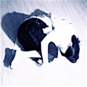 收聽反返的Thank You (Explicit)歌詞歌曲