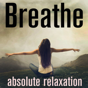 Spa Sensations的專輯Breathe - Absolute Relaxation