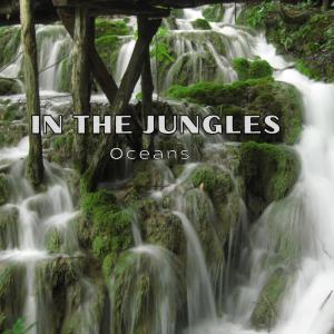 Album In the Jungles (feat. Eddahed) from Eddahed