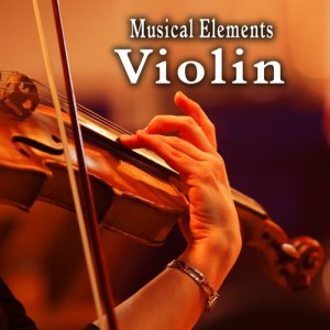 收聽Sound Ideas的Two Notes Played on a Violin歌詞歌曲