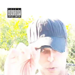 Vincent T的專輯Torn Hat Subdivision