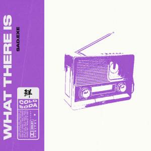 ดาวน์โหลดและฟังเพลง What there is พร้อมเนื้อเพลงจาก sad.exe