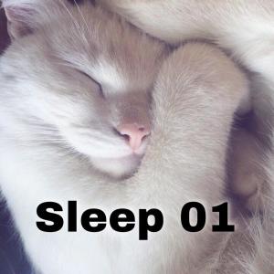 收听D Music的Sleep 01歌词歌曲