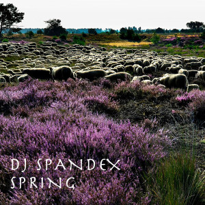 DJ Spandex的专辑Spring