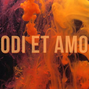 Album Odi Et Amo from Andrea Marino