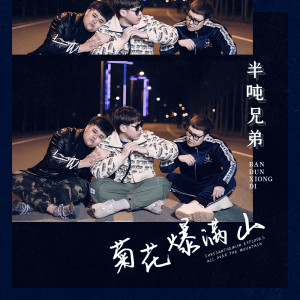 收聽半噸兄弟的菊花爆滿山 (DJ何鵬版)歌詞歌曲
