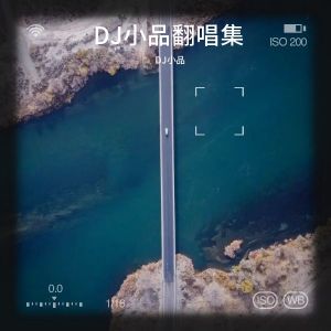 Listen to 各自为战 (DJ小品|浩纹 remix) (Remix) song with lyrics from DJ小品