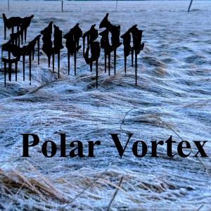 Zvezda的專輯Polar Vortex
