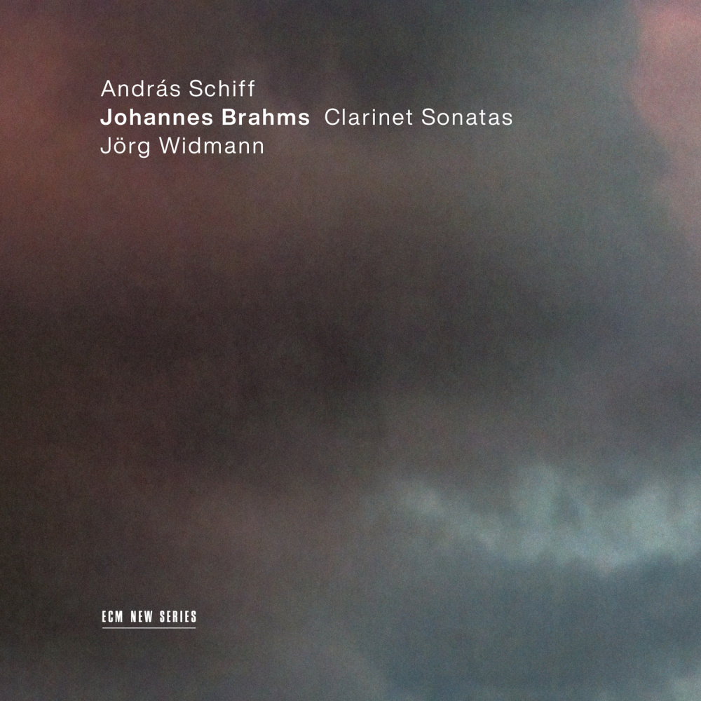 Brahms: Sonata for Clarinet and Piano No. 2 in E Flat Major, Op. 120 No. 2 - 3. Andante con moto - Allegro