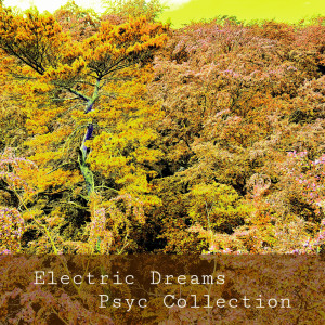Listen to Psyc Clubbing 1 (Radio Xxl) song with lyrics from Electric Dreams
