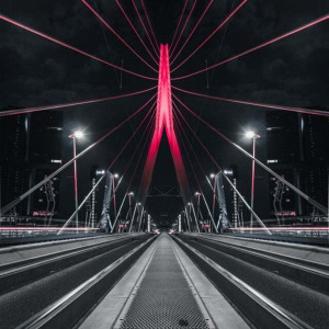 Album Music from Rotterdam from Various