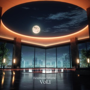 Album Boutique Music Vol.1 from Boutique Music