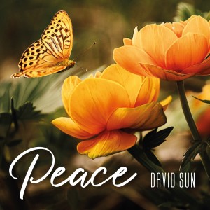 David Sun的專輯Peace