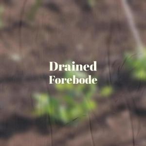 Album Drained Forebode from 