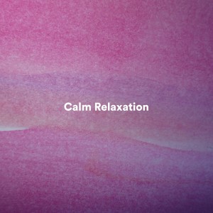 Relaxing Spa Music的專輯Calm Relaxation
