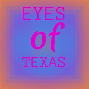 อัลบัม Eyes of Texas ศิลปิน Silvia Natiello-Spiller