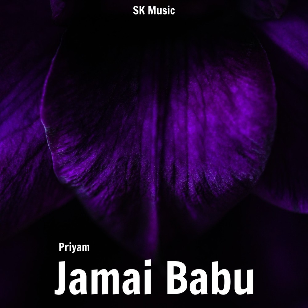 Jamai Babu