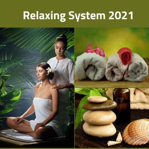 Dengarkan lagu Time for Regeneration nyanyian Spa Music Paradise dengan lirik