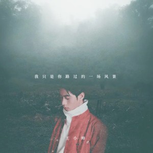 收聽王小帥的我只是你路過的一場風景歌詞歌曲