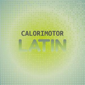 Various Artists的專輯Calorimotor Latin