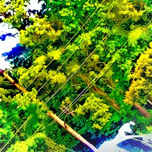 ดาวน์โหลดและฟังเพลง Ballerina พร้อมเนื้อเพลงจาก brand!nrojo