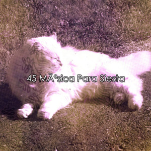 Album 45 MÃºsica Para Siesta from Rest & Relax Nature Sounds Artists