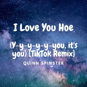 Album I Love You Hoe (Y-y-y-y-y-you, it's you) [TikTok Remix] from Quinn Spinster