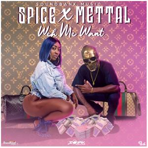 ดาวน์โหลดและฟังเพลง Weh Me Want (feat. Mettal) (Explicit) พร้อมเนื้อเพลงจาก Mettal