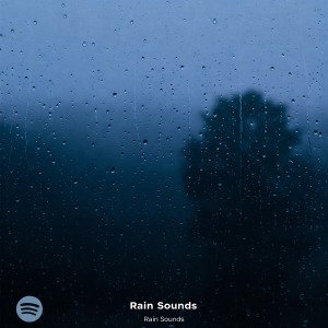 ดาวน์โหลดและฟังเพลง Soothing Storm Sounds พร้อมเนื้อเพลงจาก The Sleep Hub