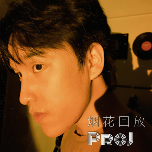 Listen to 烟花回放 (完整版) song with lyrics from PROJ龚桥一