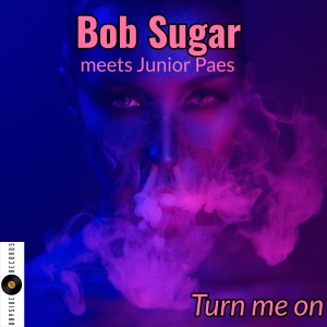 ดาวน์โหลดและฟังเพลง Turn Me On (Short Cut) พร้อมเนื้อเพลงจาก Bob Sugar