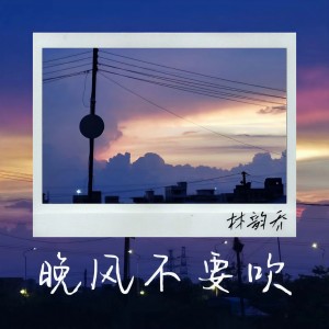 Album 晚风不要吹 from 林韵乔