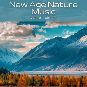 Dengarkan Peaceful Evening lagu dari Relaxing Music dengan lirik