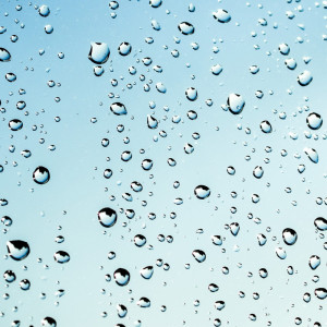 Listen to Wee Hours Storm song with lyrics from Nature Sound Collection
