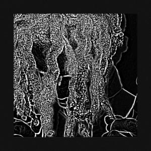 arKhive的專輯ARKHIVED HOES 2 (Explicit)