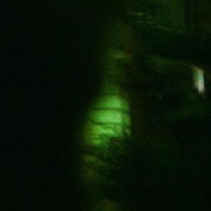 Peas的專輯october