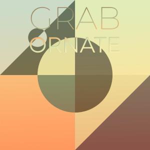 Various的专辑Grab Ornate