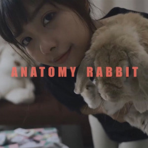 แอบหวัง dari Anatomy Rabbit