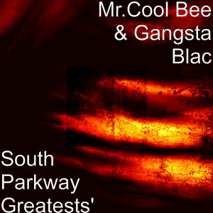ดาวน์โหลดและฟังเพลง Out da Hood (feat. K Rock) (Explicit) พร้อมเนื้อเพลงจาก Mr.Cool Bee