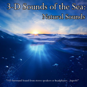 ดาวน์โหลดและฟังเพลง 3-D Sounds of the Sea: Natural Sounds พร้อมเนื้อเพลงจาก Nature Sounds
