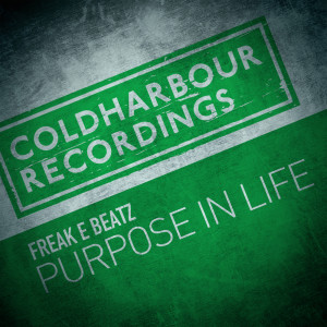 Album Purpose in Life from Freak E Beatz