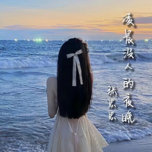 张思思的专辑凌晨没人的夜晚