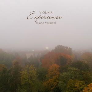 อัลบัม Experience (Piano Version) ศิลปิน ViOLiNiA Zhanna Stelmakh