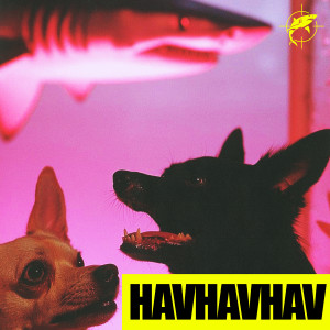 收聽Lvbel C5的HAVHAVHAV (Explicit)歌詞歌曲