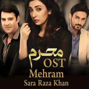Listen to Na Mehram Humsafar (From "Mehram") song with lyrics from Sara Raza Khan