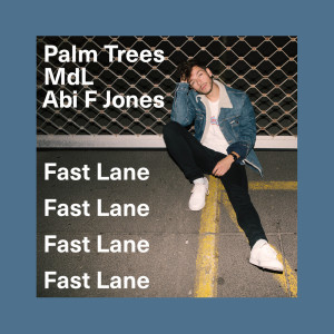 Listen to Fast Lane (Instrumental) song with lyrics from Palm Trees
