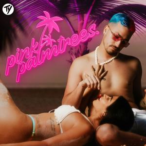 อัลบัม PINK PALM TREES (Explicit) ศิลปิน Ty