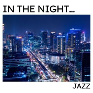 Various Artists的專輯In The Night... Jazz